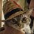 Joey T Laudy's profile image
