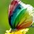 Sandra Adams's profile image