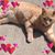 Renee Noe's profile image
