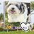 Sue Molaison's profile image