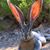 Laura Livingston's profile image