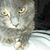 Valerie Clark's profile image