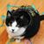 Paula Rodriguez's profile image