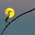 Diane Thurman's profile image