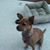 Peggi Parks's profile image