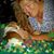 Ginny Davis's profile image