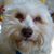 Rusty Haddock's profile image
