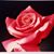 Asenith Childers-Cantrell's profile image