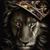 Aundre Shaw's profile image