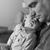 Amy Michelle Harcourt's profile image