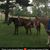 Liz Reider's profile image