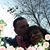 Cynthia Zunno Pineiro's profile image