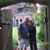 Tracy Dillard's profile image