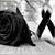 Corinna M. Abrego's profile image