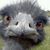 Warren Aten's profile image