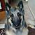 Ann Westerman's profile image