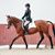 Stefanie McAlpine Miquelon's profile image