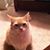 Brenda Atchison's profile image