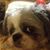 Julie Muto's profile image