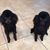 Kathy Reinhard's profile image