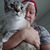 Yanco Ramirez's profile image
