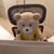 Arthur Lee's profile image