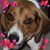 Cindy Tibbett's profile image