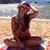 Jennifer Pearce's profile image