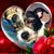 Peggy Saarela Gniewek's profile image