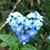 Beatrice Frey's profile image
