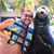 Dan Tocco's profile image