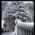 Heidi Diener's profile image