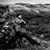 Emil Heinsen's profile image