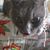 Dawn Edwards's profile image