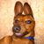 Danny Spann's profile image