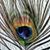 Judy Jones's profile image