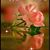 Lorna Griggs's profile image