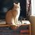 Susan Benson's profile image