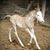 Kay Fecko's profile image