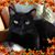 Michelle Zandonatti's profile image