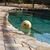 Terri Mitchell-Hackenberger's profile image