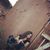Cristol Martinez's profile image
