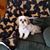 Alyson Neeley's profile image