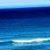 Ceil Harrigan's profile image