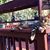 Sue Babich's profile image