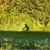 Mikalan R Cawley's profile image