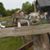 Lynn Dean-Gerow's profile image