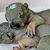 Karen D. Riston's profile image