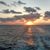 Judie Davison Parks's profile image