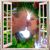 Richard Anderson's profile image